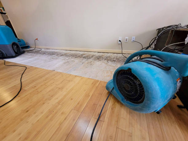 Professional Structural Drying technician working in Milton, IN